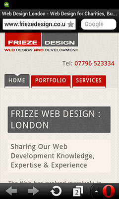 example of a mobile ready website